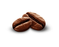 Coffee Bean (Robusta & Arabica blend)