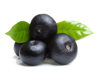 Acai Berry