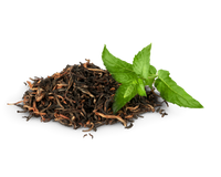 Green Tea Extract