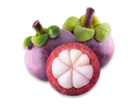 Mangosteen Extract