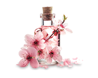 Sakura Extract