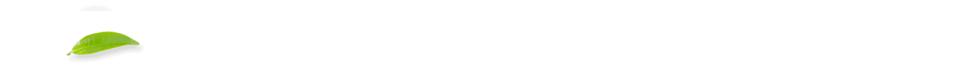 Bottom Overlay
