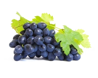 Grape Seed Extract