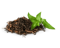 Green Tea Extract
